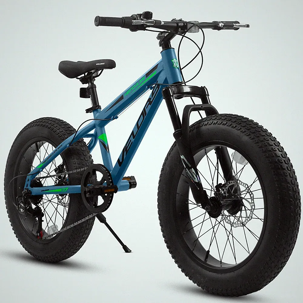 20 Inch Fat Tire Bike Adult 7 Speed Mountain Bike, Dual Disc Brakes, Steel Frame