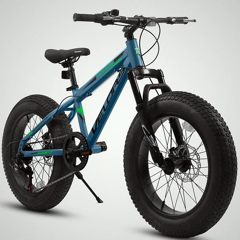 20 Inch Fat Tire Bike City Commuter Adult 7 Speed Mountain Bike Dual Disc Brake