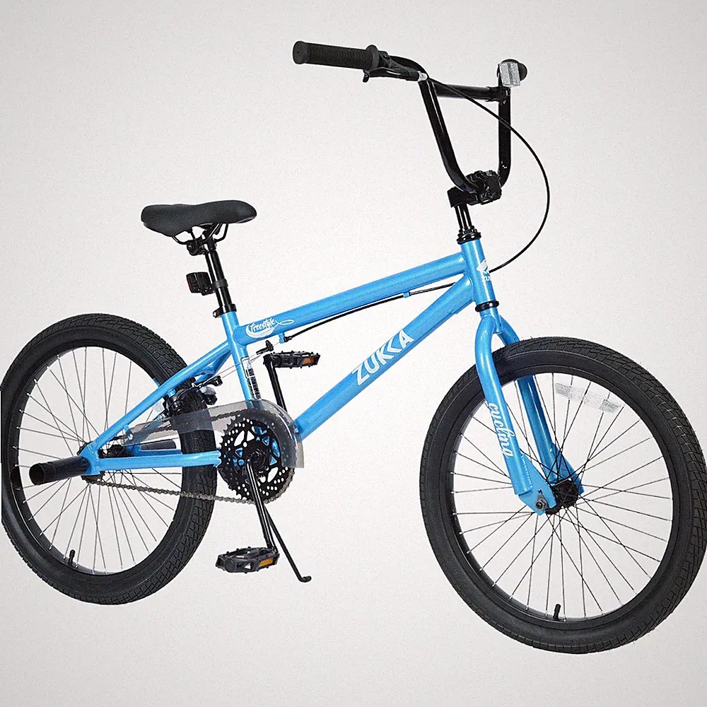 BMX Style 20 Inch Kids Bike for Boys/Girls Bicycle Ages 7-10 Years Old，Blue